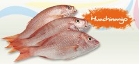 Huachinango 450g